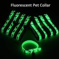 Radium Pet Cat Collar with Bell – Soft Neck Strap for Dogs & Cats. 