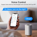 Smart Plug WIFI EU 10A Smart Socket With Timed countdown Voice Control Works Whit Alexa Google Home Alice. 