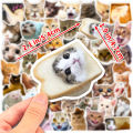 50Pcs Funny Cat Stickers Adorable, Kawaii and Colorful Decals Perfect for Water Bottles, Laptops and phone. 