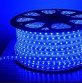 Blue Flexible Rope Led Strip light Water Proof and multiple sizes to choose for indoor and outdoor use long life bulbs rope lights. 