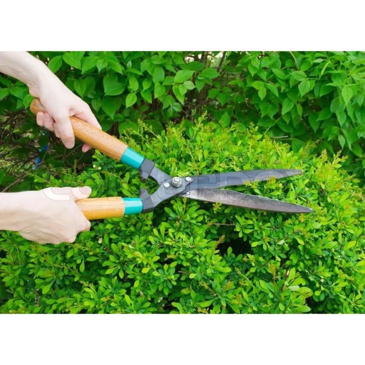 Tree Cutting Scissor Large Size (Heavy Duty Large Plant Cutting Tool), garden scissor