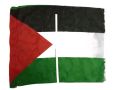 Palestine flag with independence day. local simple suit.size is 2/3 .  2 ft 3 inch length and 1 ft 10 inch width. small flag.. 