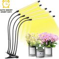 LED USB Grow Light Phytolamp for Plants with Control Full Spectrum 3000K Fitolamp Lights Home Flower Seedling Clip Phyto Lamp. 