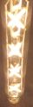 BROOKS light source. 