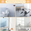 Cats Toys Feathers Wand Interactive Toy Kitten Toys with Super Suction Cup Detachable 2 PCS Feather Replacements Cat Accesorios. 
