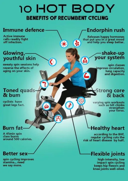 Maximum%20Fitness%20Recumbent%20Bike%20Professional%20Class%20-%20Image%202