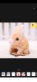 Electric Plush White Rabbit Stuffed Bunny Interactive Soft Bunny Toy Mumble Walking & Sound Baby Educational Simulation Kids Cute Toy. 