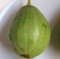 High Germination Cucumis Melo (ونگا) Wanga| Cucumber Melo Fruit Seeds For Kitchen Gardening. 