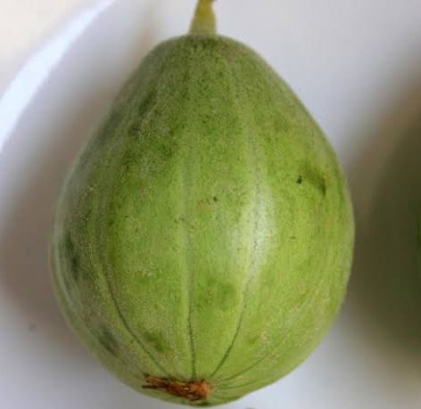 High Germination Cucumis Melo (ونگا) Wanga| Cucumber Melo Fruit Seeds For Kitchen Gardening