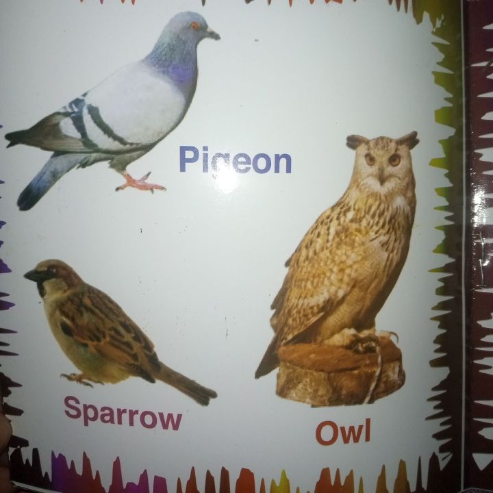 Kids%20first%20learning%20Books%7C%20Preschool%20Self%20Learning%20Home%20Schooling%20%7C%20(pack%20of%2012)%20best%20gift%20for%20birthday%20-%20Image%205