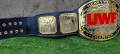HEAVYWEIGHT UWF CHAMPION. 