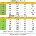 Summer Men Sports Polo Suit Short Sleeve Stylish Zipper Polo Shirt And Shorts Set Men Casual Streetwear 2-pie Leisure Sports Set. 