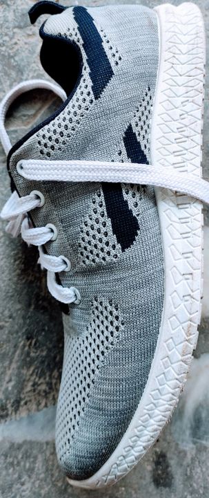 z star sport shoes