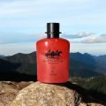 Ariana red cloub pour homme 100 ml. 