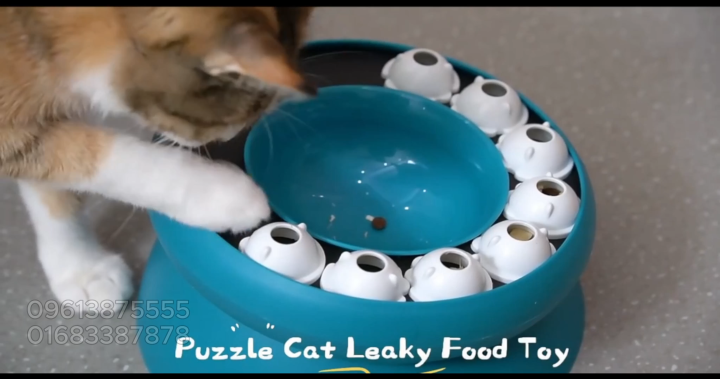 Cat Slow Feeder Interactive Puzzle Bowl with Non-Slip Base, Fun Pet Toy for Indoor Cats Mental Stimulation