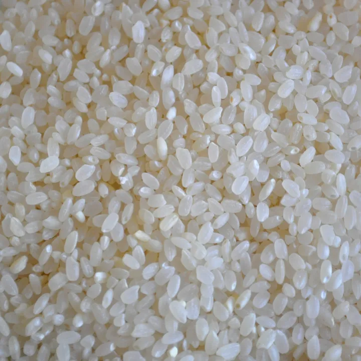 Sticky Rice Pakistan Sushi Sticky rice 1kg | mota chawal | Daraz.pk