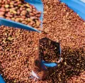 Roasted Peanuts (Vaja badam rice)-2 kg. 
