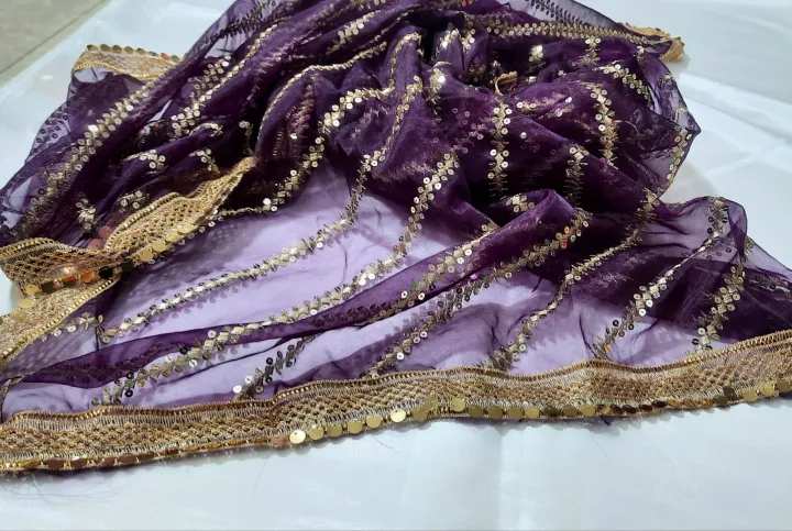 Fancy%20nylon%20organza%20dupatta%20with%205mm%20satara%20-%20Image%203