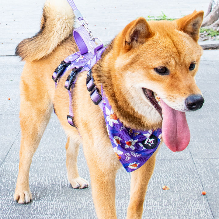 Pet%20Travel%20Set%20-%20Adjustable%20Dog%20Chest%20Harness%20/%20Dog%20Leash%20/%20Pet%20Bib%20/%20Pet%20Collar,%20Suitable%20For%20Small/Medium/Large%20Dogs%20-%20Image%206