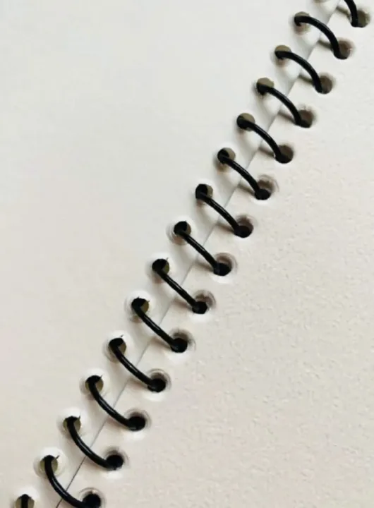 Sketchbook%20A4%20size%20for%20acrylic%20oil%20and%20water%20painting%20Best%20spiral%20sketch%20book%20water%20absorbed%20paper%2020%20sheets%20high%20quality%20for%20art%20and%20craft%20projects%20%5BHAMID%20STATIONERS%5D%20-%20Image%208