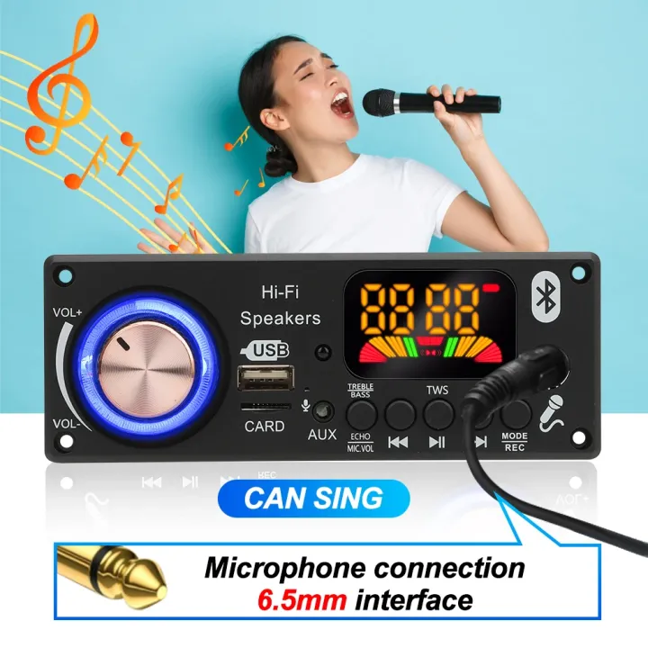 200W%20DIY%20Home%20Digital%20Amplifier%20MP3%20Decoder%20Board%20100W%20Audio%20Power%20Bluetooth%205.3%20FM%20For%20Music%20Subwoofer%20Speakers%20Volume%20Control%20-%20Image%202