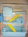 Hamster cage. 