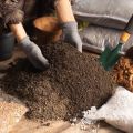 Readymix soil for garden/ premium quality.