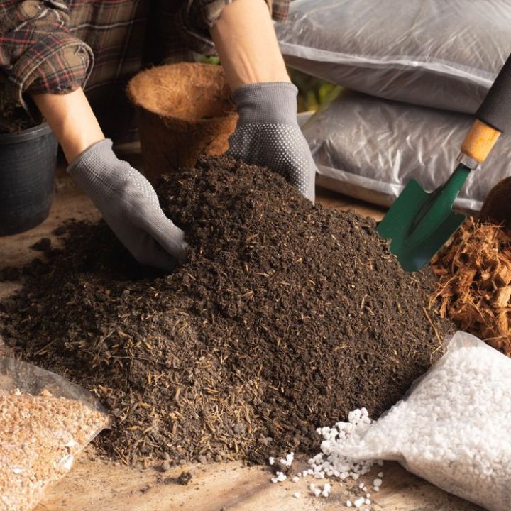 Readymix%20soil%20for%20garden/%20premium%20quality%20-%20Image%204