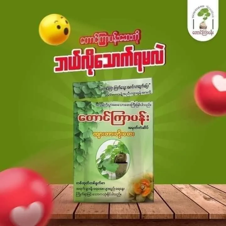 %E1%80%90%E1%80%B1%E1%80%AC%E1%80%84%E1%80%BA%E1%80%80%E1%80%BC%E1%80%AC%E1%80%95%E1%80%94%E1%80%BA%E1%80%B8%20%E1%81%85%E1%80%91%E1%80%AF%E1%80%95%E1%80%BA%20Taung%20Kyar%20Pann%20-%20Image%204