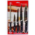Koch Messer pack of five pieces kitchen knife set stainless steel. 
