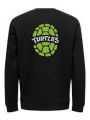 Teenage Mutant Ninja Turtle Sweatshirt Men. 