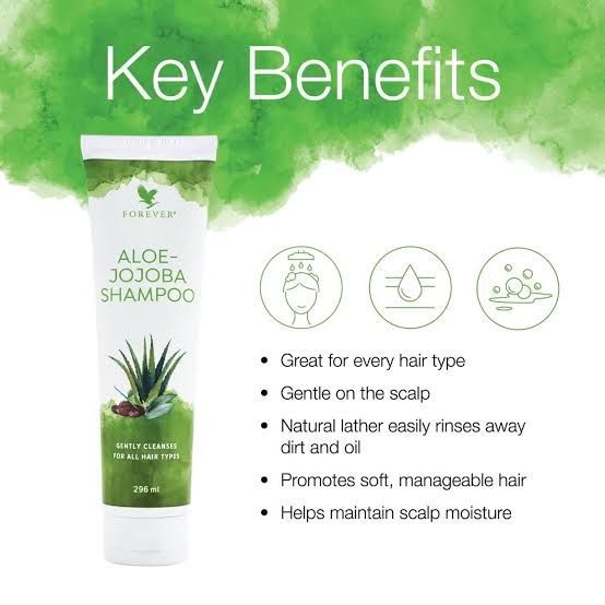 wandfarbe aloe Aloe Vera von Painting the Past – Ruhiges Grün mit sanftem Schimmer main image 1