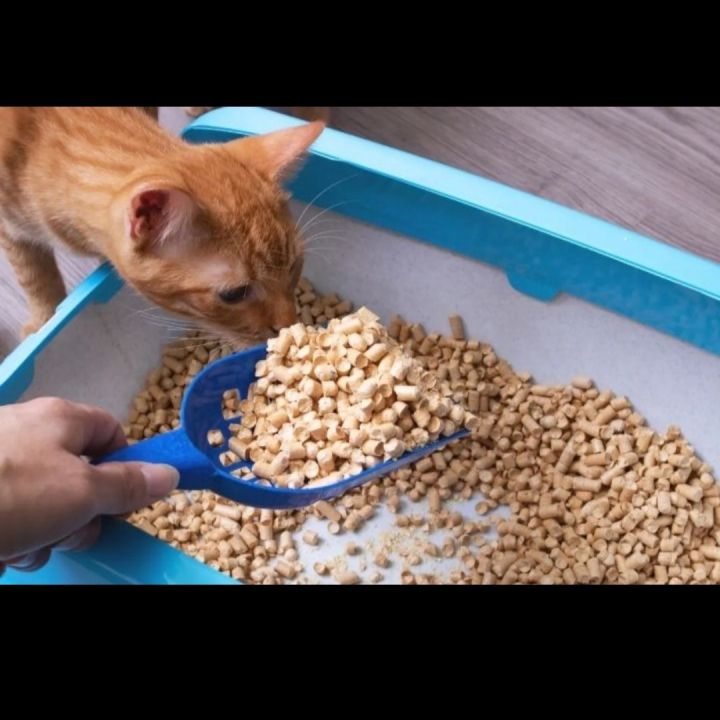 Cat%20wooden%20litter%20(Premium%20Quality)%20-%20Image%202