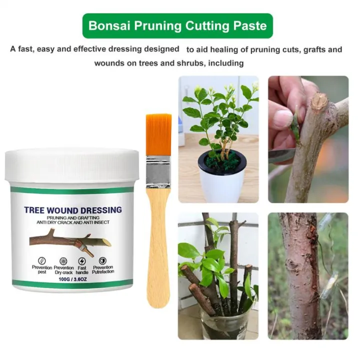 100g%20Tree%20Wound%20Sealer%20Garden%20Tree%20Pruning%20Healing%20Paste%20Multifunctional%20Tree%20Wound%20Pruning%20Sealer%20Bonsai%20Gardening%20Sealer%20-%20Image%206