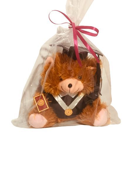 Graduation%20tedy%20bear%20-%20Image%204