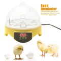 7 Eggs Incubator Chicken Bird Egg Incubator Automatic Intelligent Quail Parrot Brooder Hatcher Chicken Duck Pigeon 7 Egg Incubators.