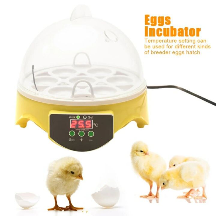 7%20Eggs%20Incubator%20Chicken%20Bird%20Egg%20Incubator%20Automatic%20Intelligent%20Quail%20Parrot%20Brooder%20Hatcher%20Chicken%20Duck%20Pigeon%207%20Egg%20Incubators%20-%20Image%204