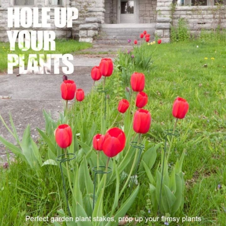 Garden%20Support%20Stake%20Ring%20Metal%20Garden%20Plant%20Supports%20Single%20Stem%20Shrub%20Holder%20Climbing%20Plant%20Stake%20Tower%20Plant%20Supports%20-%20Image%203