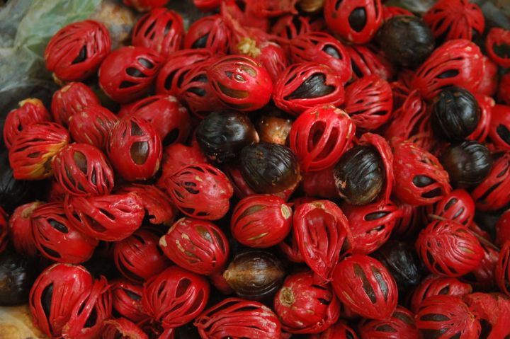 250g%20of%20well-dried%20nutmeg%20in%20excellent%20condition(Sadikka)%20-%20Image%204