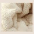 Winter Knitted Integrated Hat Scarf Set Cold Proof Ear Protection Scarf Warm Beanies Cycling Windproof Ladies Outdoor Caps.