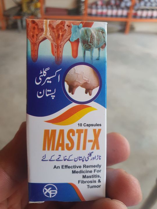 masti x  10 capsule for veterinary use cow buffalo goat sheep