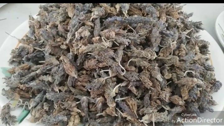 Dry Lavender Leaves  لیوینڈر کے خشک پتے   (اسخطودس)  Best Quality 100 % Natural Dried Herb 110 gm