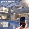 16A Mini Wifi DIY Light Switches Module 2-way Control Work With Tuya Smart Life Alexa Alice  Home. 
