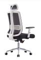 Ergonomic office chair with adjustable arms and recline system. 