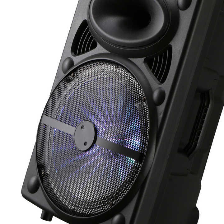12%20inches%20outdoor%20party%20speaker%20-%20Image%205