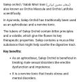 Salab Misri 10 Gm | سعلب مصری | Pure Organic Dried Fruit Nuts. 