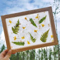 Paper Making Frame Screen DIY Wood Paper Making Papermaking Mould Crafts Handcraft Paper Recycling Tool Wooden Multi-size.