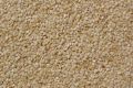 safaid Till,(sesame seeds),250gm(premium quality of A&AA store). 