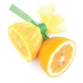 Fox run Wraps Lemon Wraps with Green Ribbons for Lemon Halves, Pack of 12 / Yellow Cotton Lemon Wrap - Green Satin Ribbon - 8 3/4" x 8 3/4". 