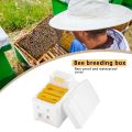 Beehive Beekeeping Box Tools For Beekeeper Supplies Bee Hive Frame Holder Equipment Kit Beehive Pollination King Bees Hive Box. 